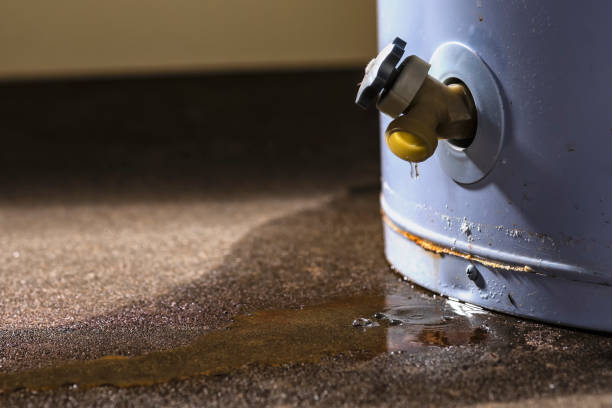 Best Water damage restoration cost  in Pittsboro, IN