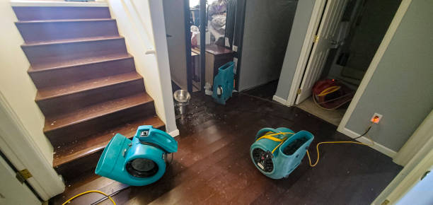 Best Carpet water damage restoration  in Pittsboro, IN
