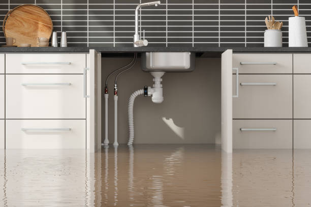 Best Water damage restoration near me  in Pittsboro, IN
